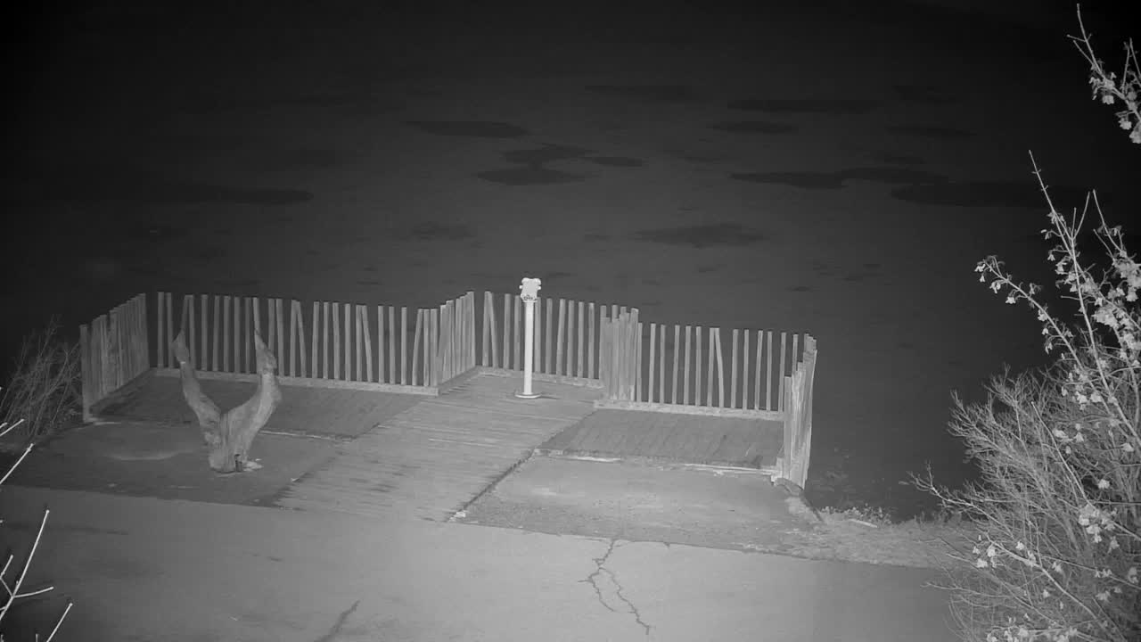 Web kamera Ribnik Vrbje – Žalec