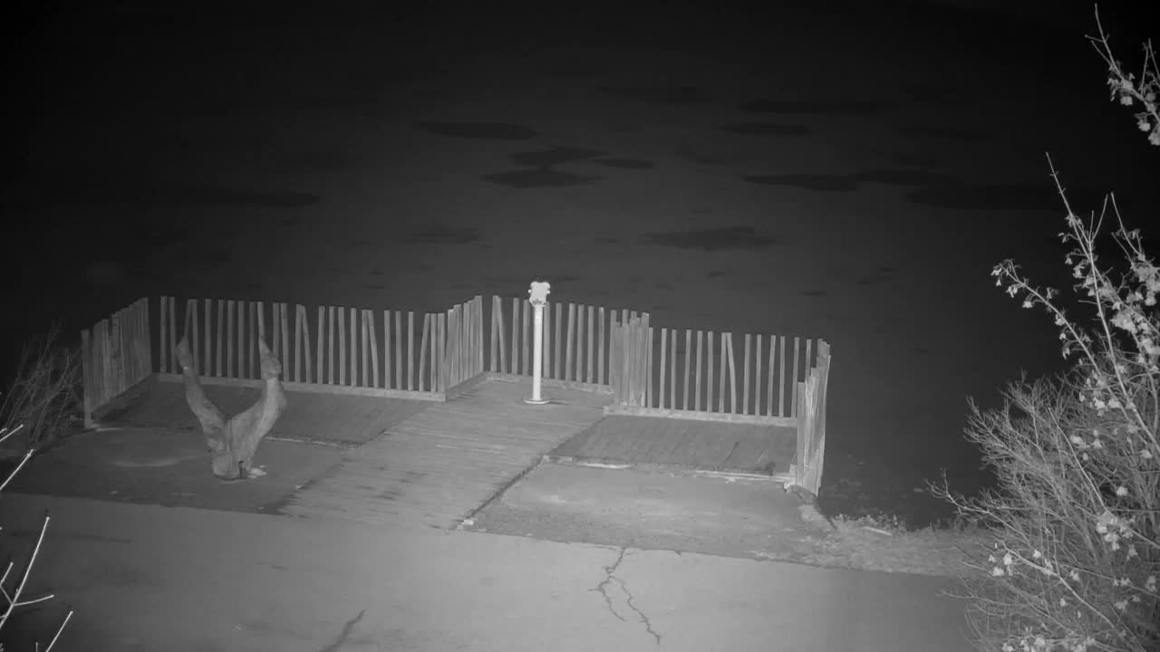 Webcam Ribnik Vrbje – Žalec