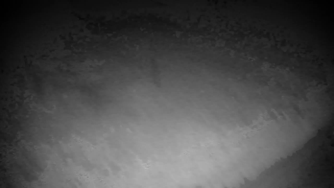 Webcam Ribnik Vrbje – Žalec