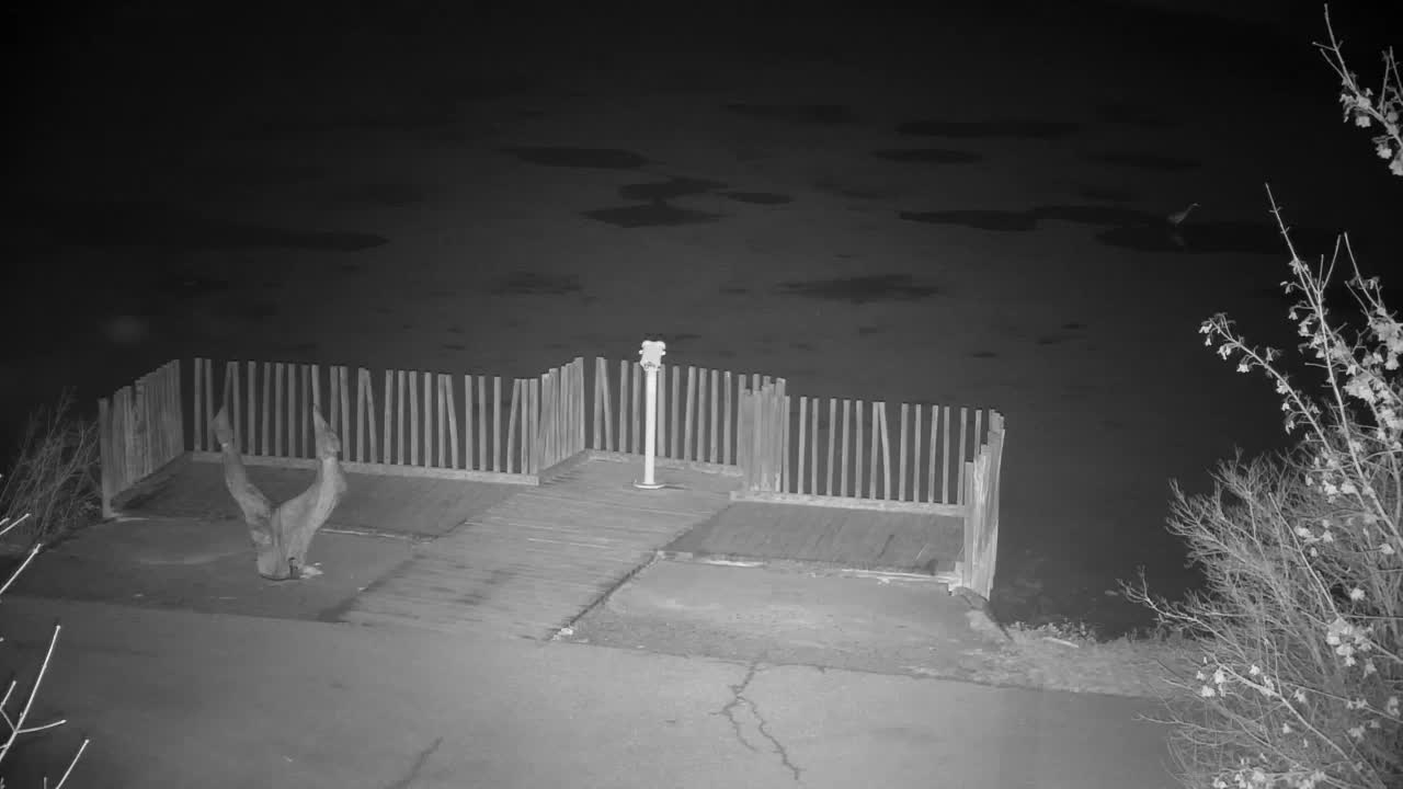 Webcam Ribnik Vrbje – Žalec