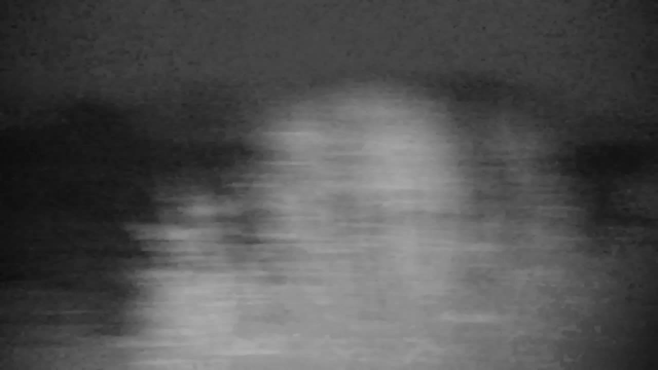 Webcam Ribnik Vrbje – Žalec