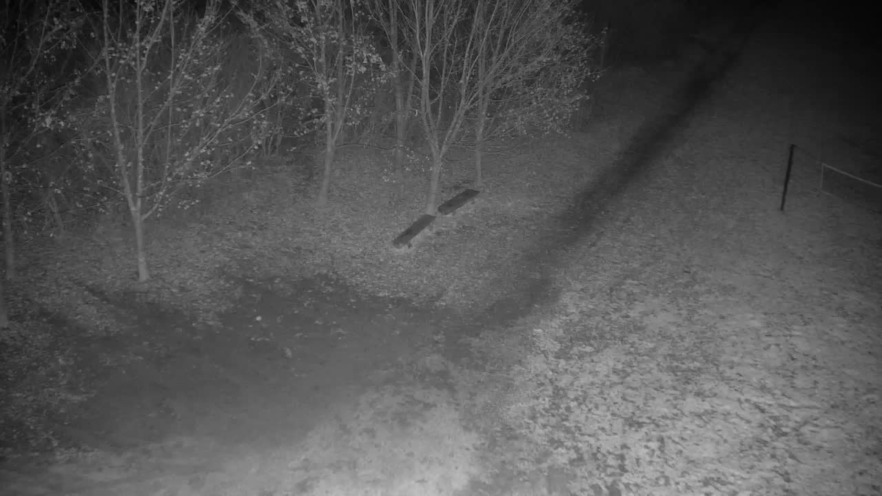 Webcam Ribnik Vrbje – Žalec