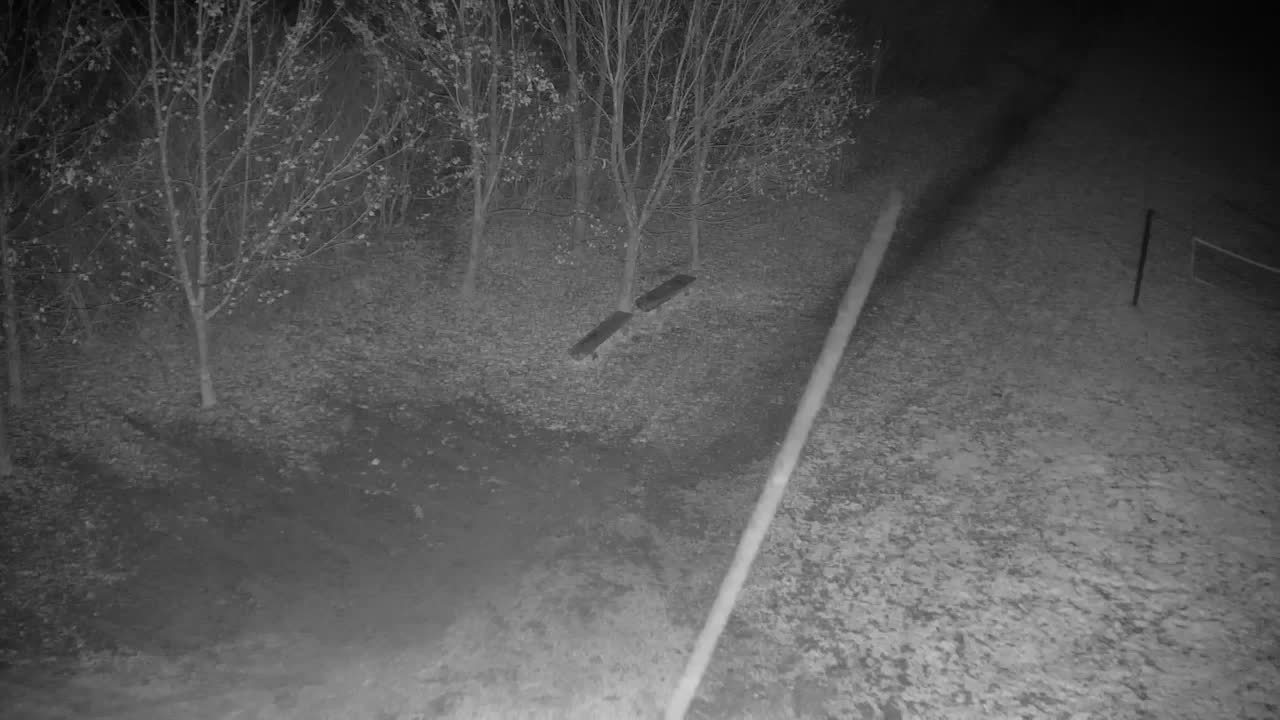 Webcam Ribnik Vrbje – Žalec