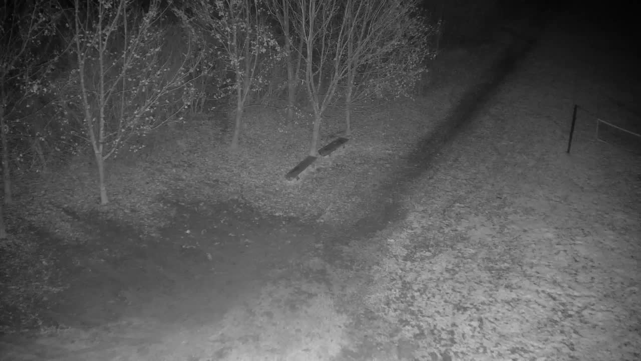 Web kamera Ribnik Vrbje – Žalec