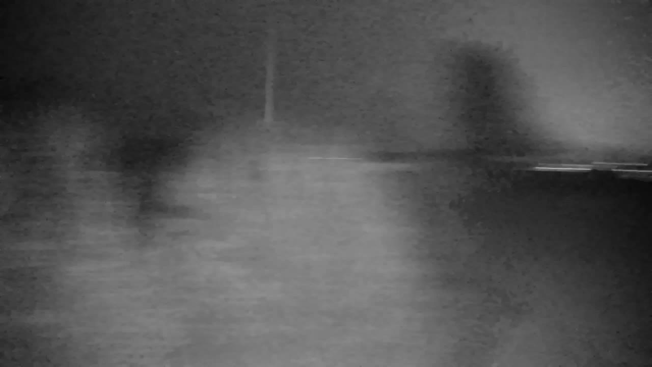 Spletna kamera Ribnik Vrbje – Žalec