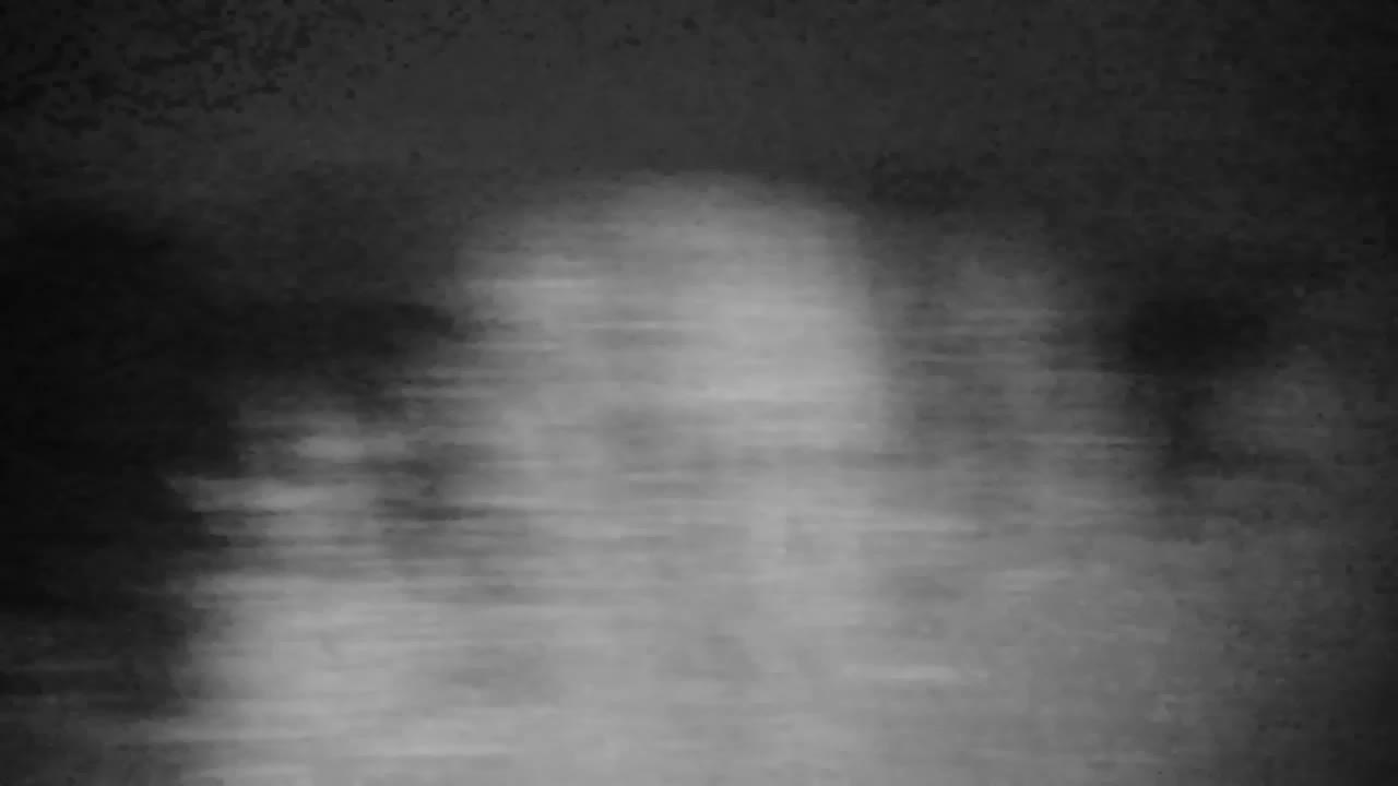 Webcam Ribnik Vrbje – Žalec