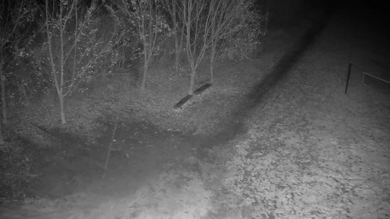 Web kamera Ribnik Vrbje – Žalec