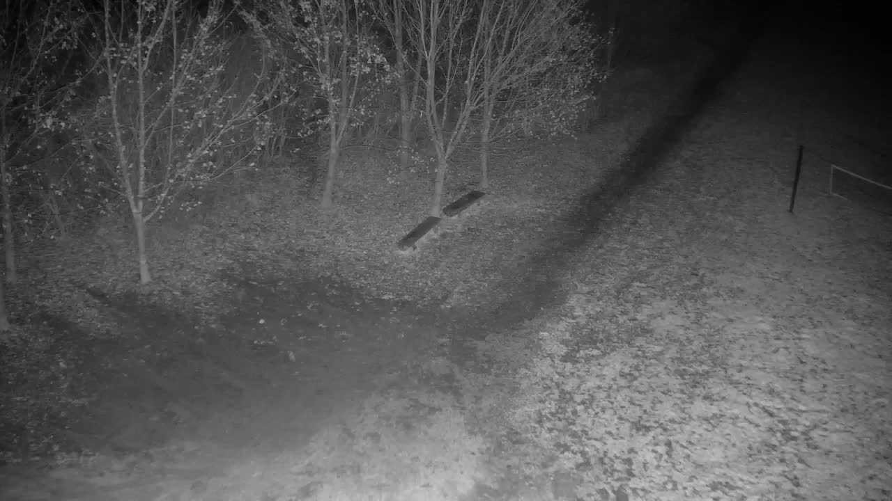 Webcam Ribnik Vrbje – Žalec