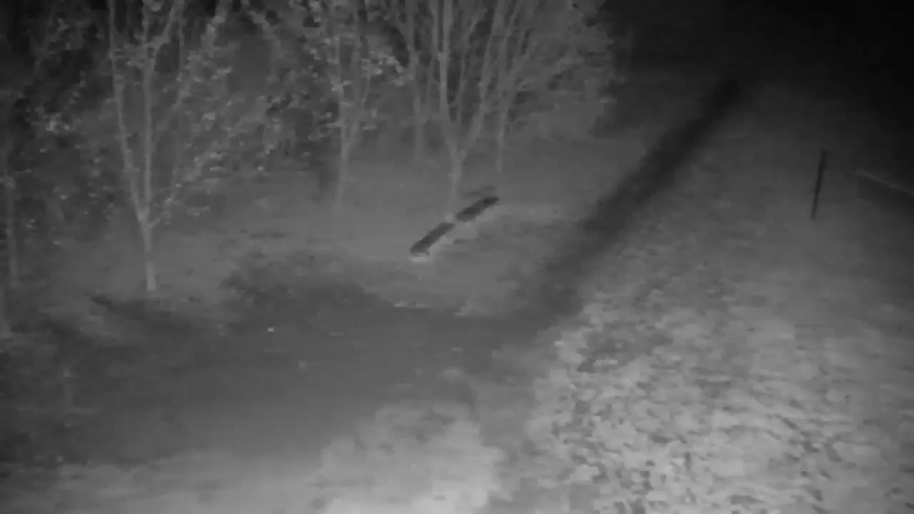 Webcam Ribnik Vrbje – Žalec