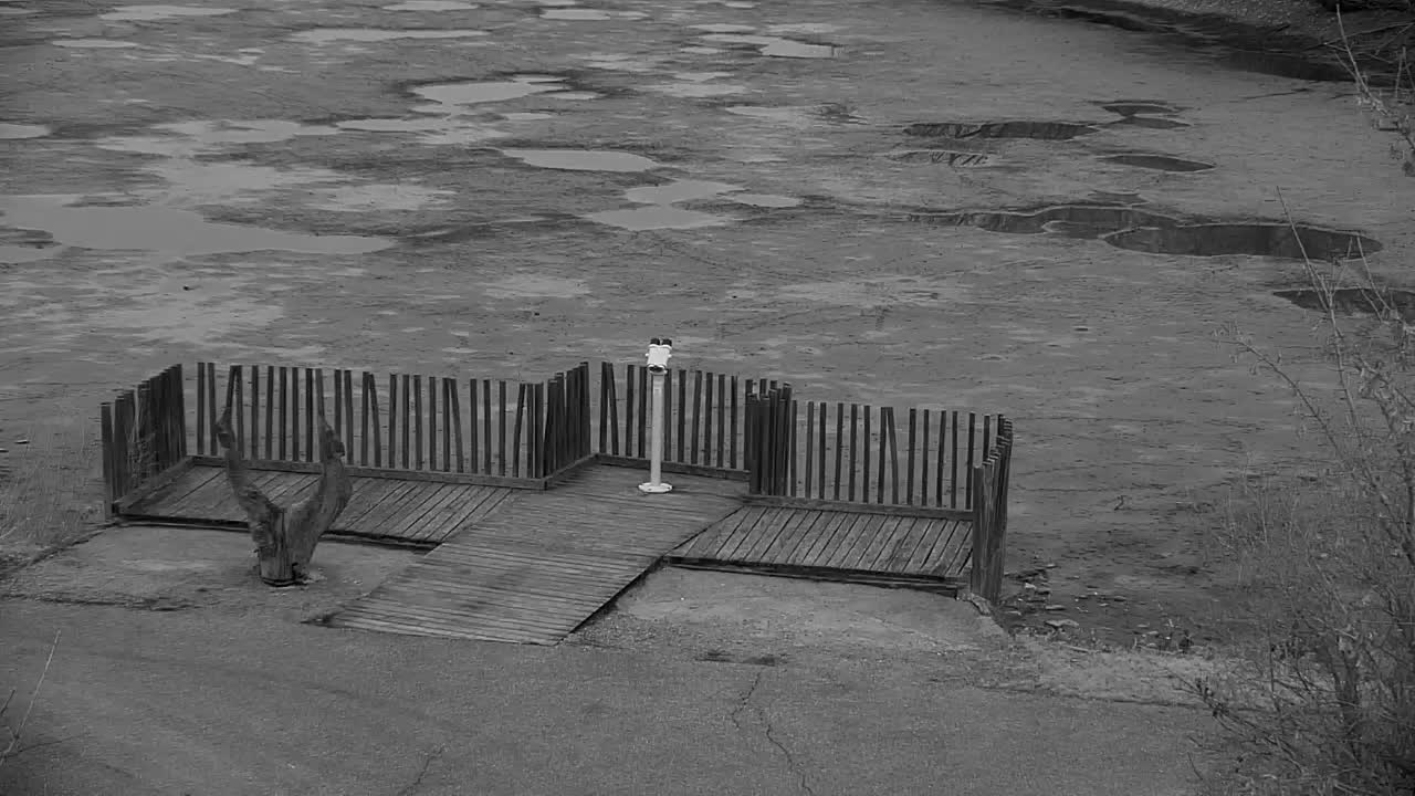 Webcam Ribnik Vrbje – Žalec