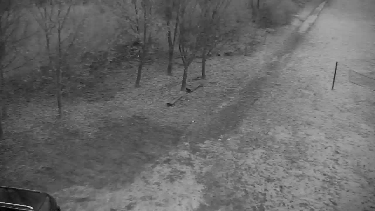 Web kamera Ribnik Vrbje – Žalec