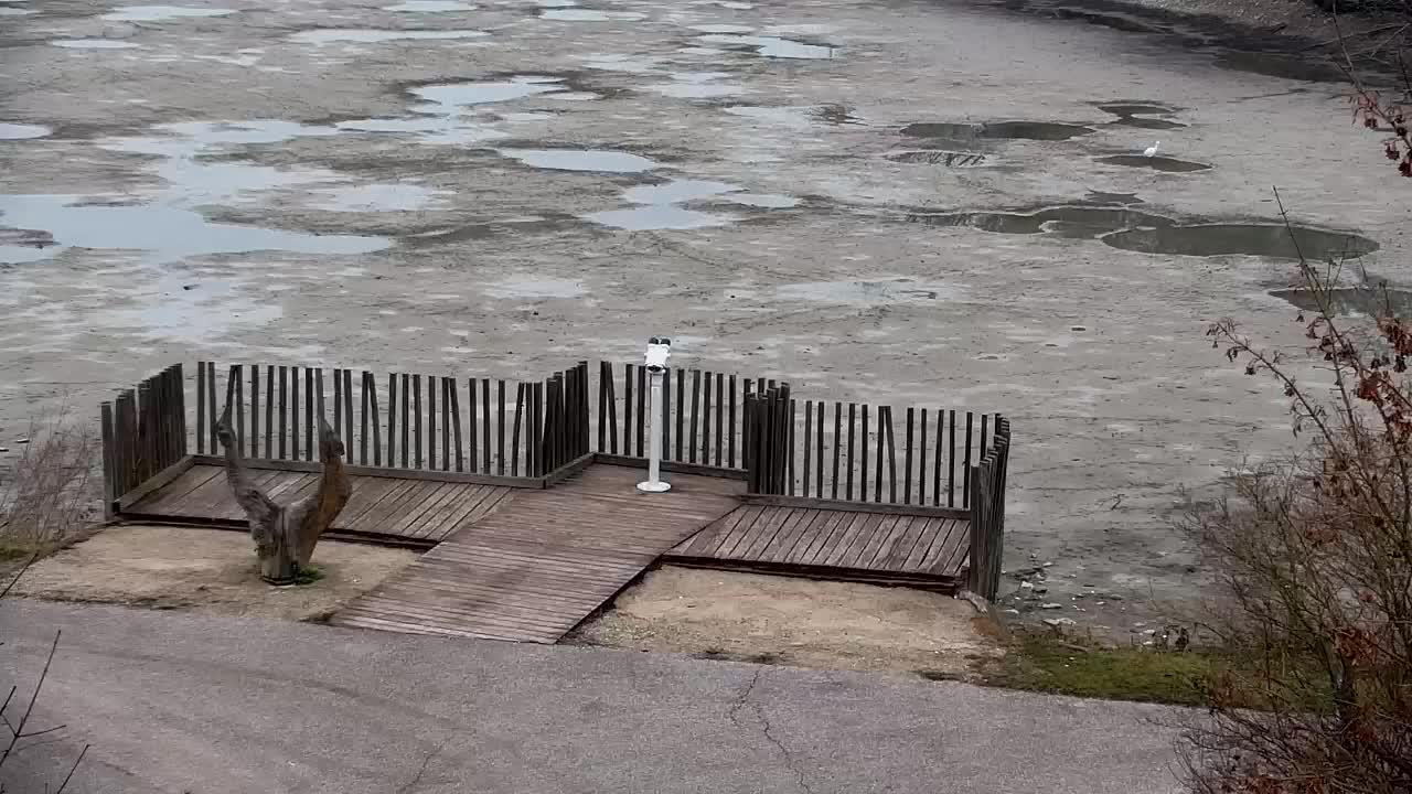 Webcam Ribnik Vrbje – Žalec