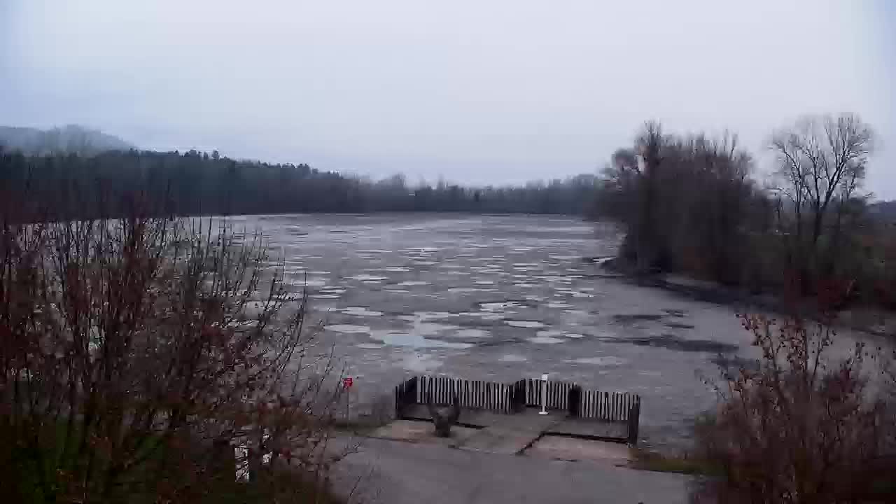 Webcam Ribnik Vrbje – Žalec