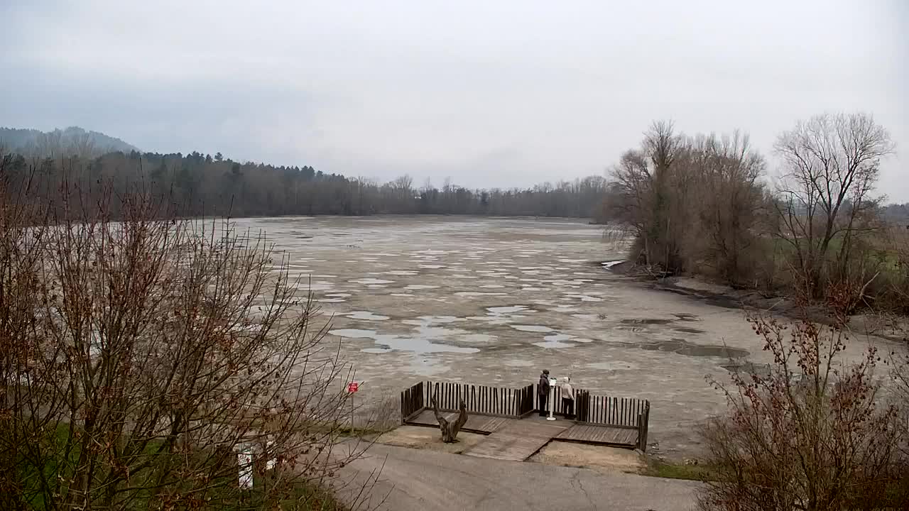 Webcam Ribnik Vrbje – Žalec