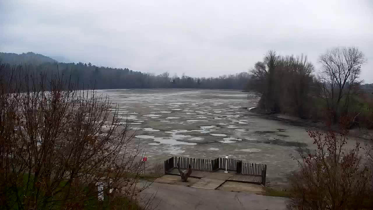 Webcam Ribnik Vrbje – Žalec