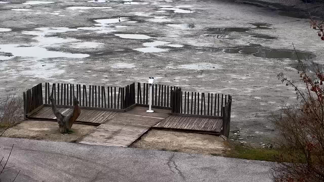 Webcam Ribnik Vrbje – Žalec