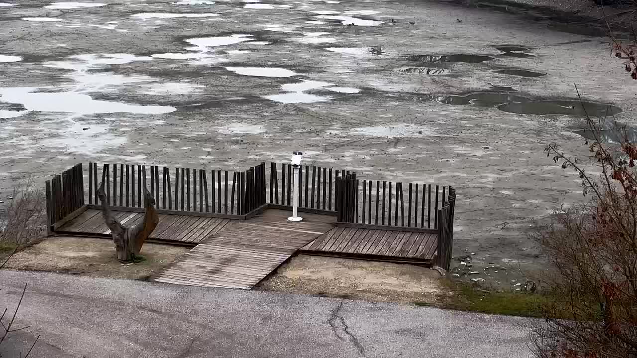 Webcam Ribnik Vrbje – Žalec