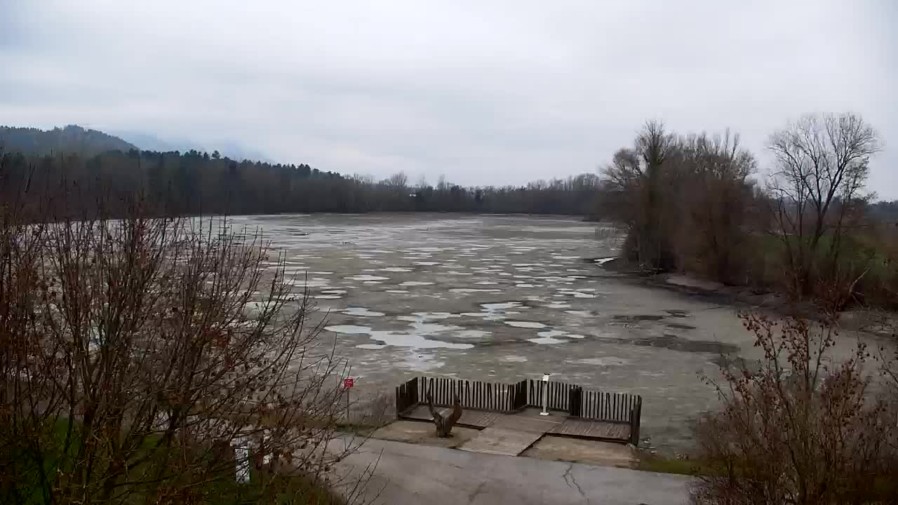 Webcam Ribnik Vrbje – Žalec