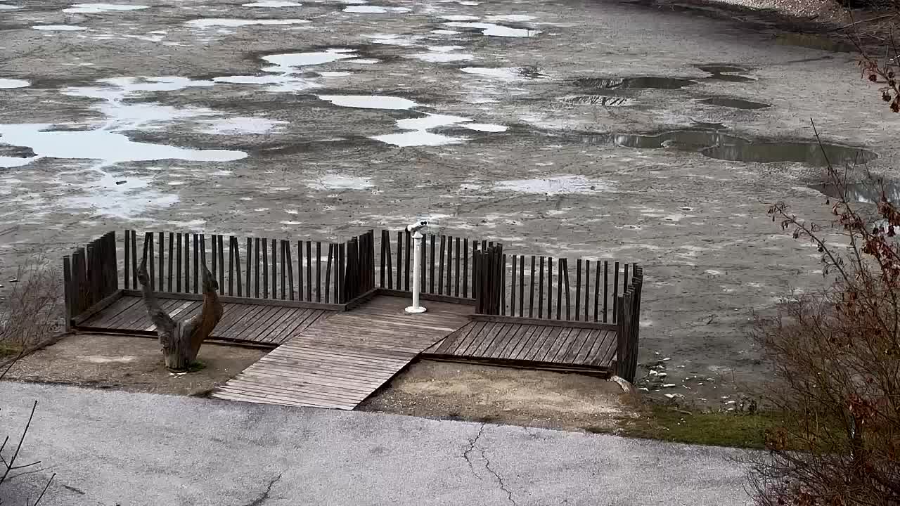 Webcam Ribnik Vrbje – Žalec