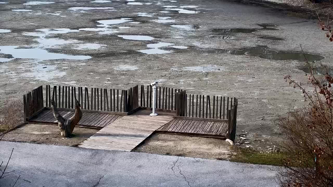 Webcam Ribnik Vrbje – Žalec