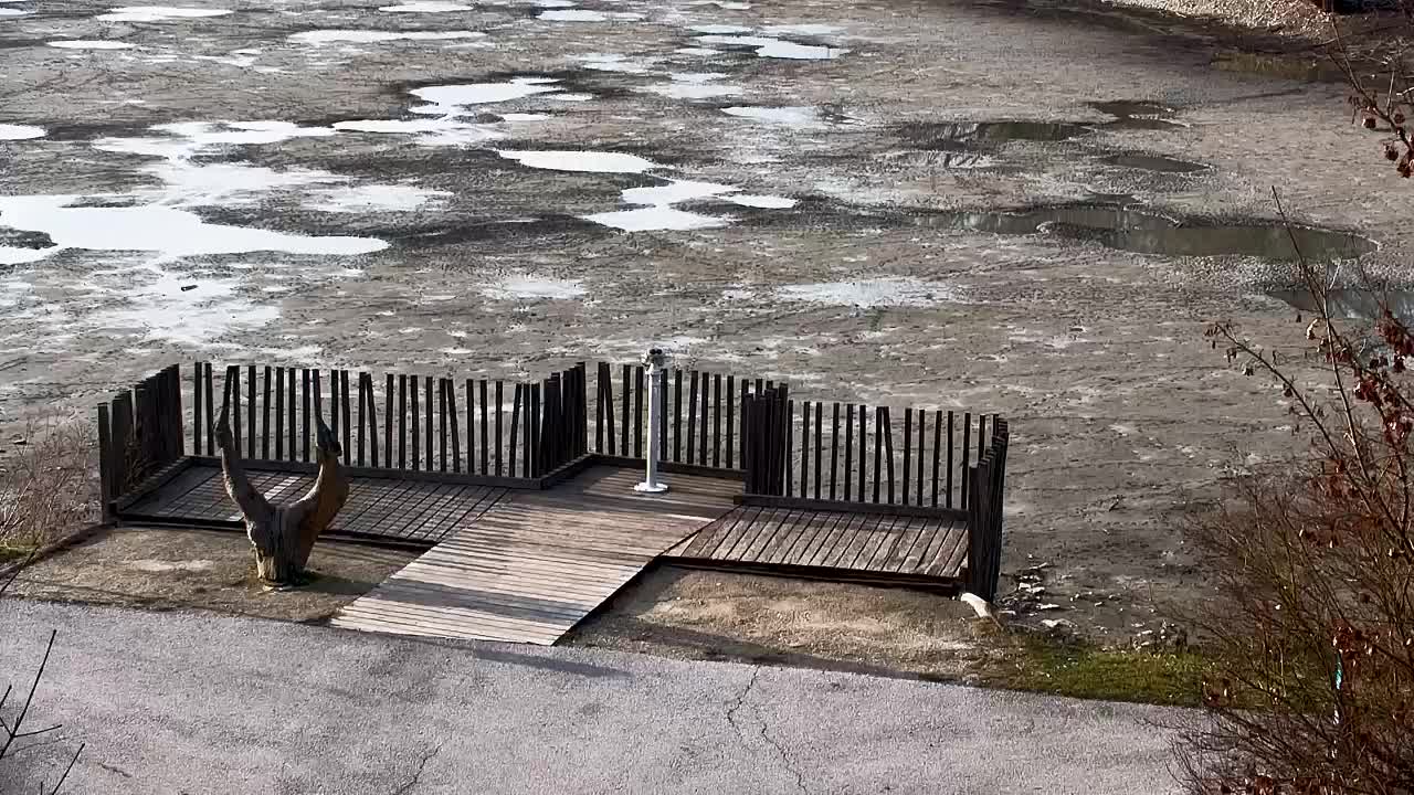 Webcam Ribnik Vrbje – Žalec