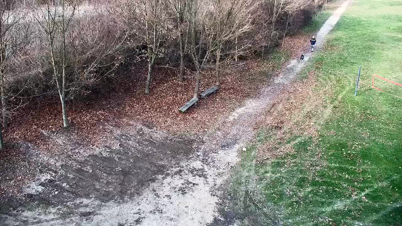 Spletna kamera Ribnik Vrbje – Žalec