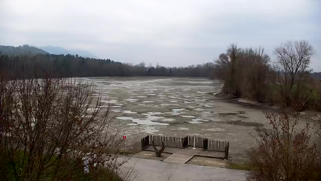 Web kamera Ribnik Vrbje – Žalec