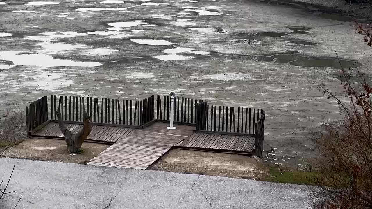 Webcam Ribnik Vrbje – Žalec