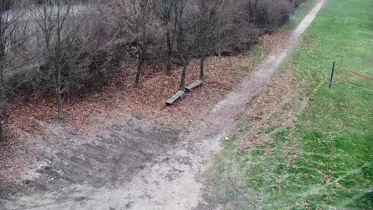 Webcam Ribnik Vrbje – Žalec