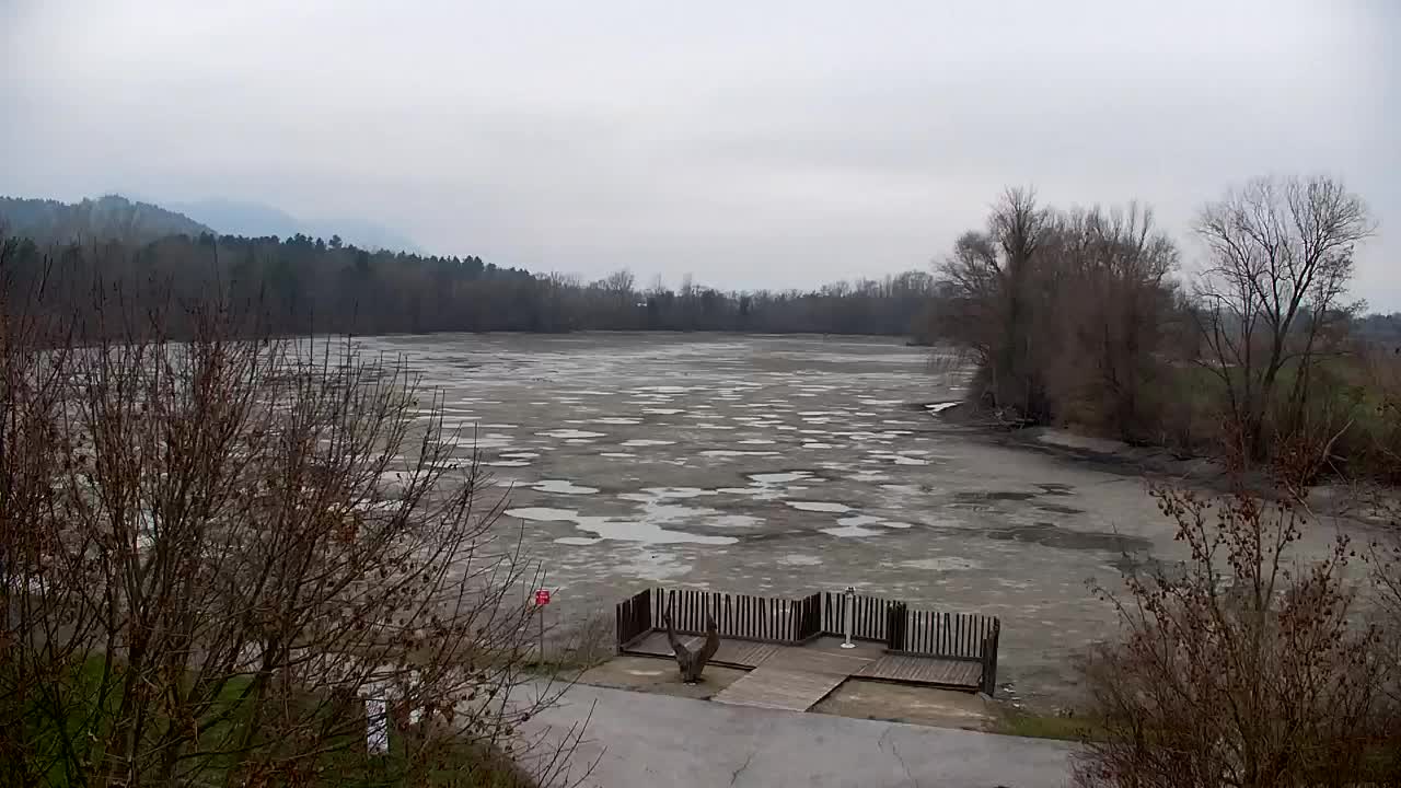 Spletna kamera Ribnik Vrbje – Žalec