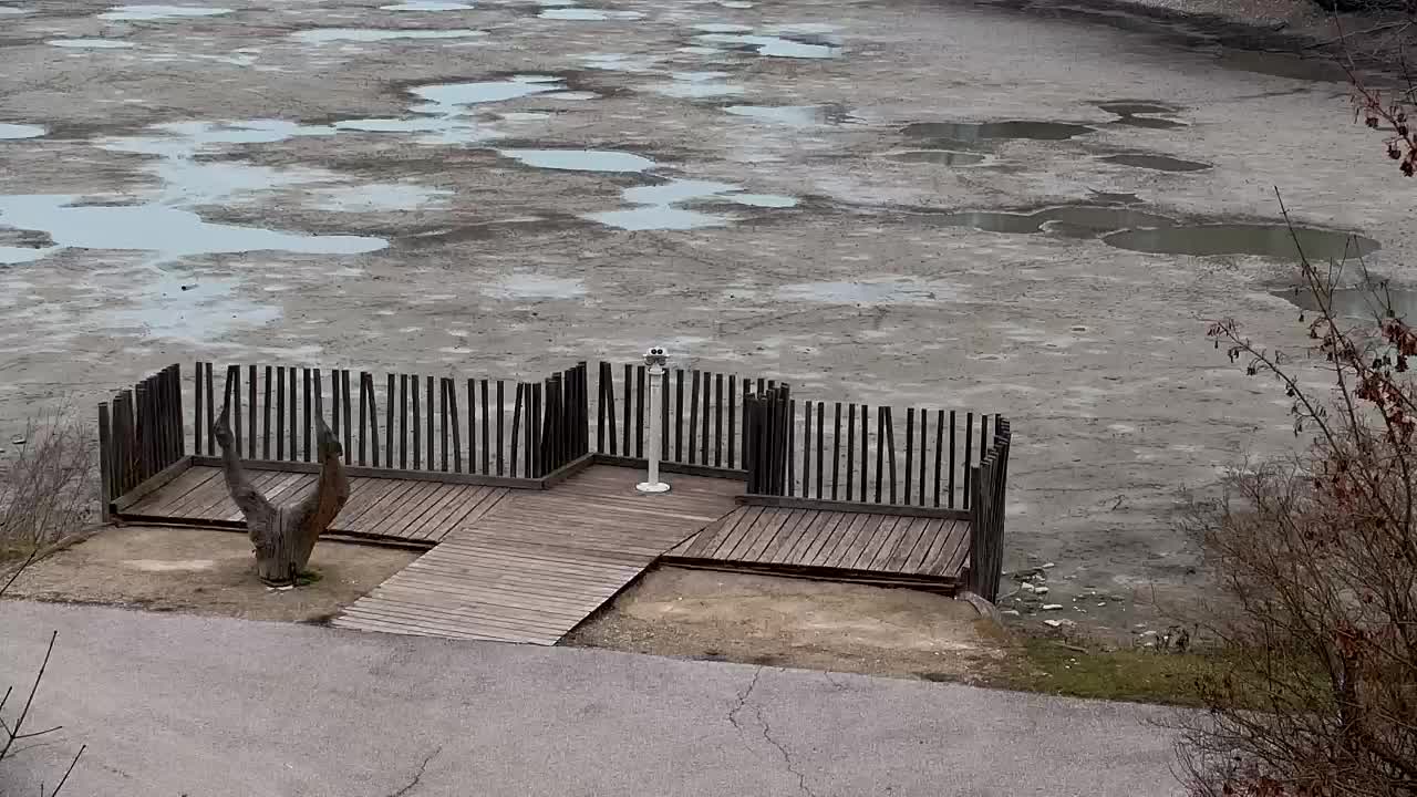 Webcam Ribnik Vrbje – Žalec