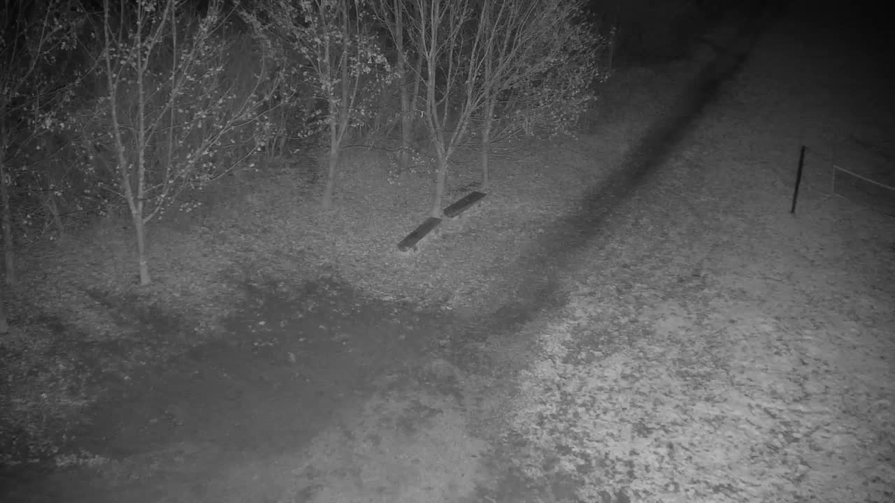 Webcam Ribnik Vrbje – Žalec