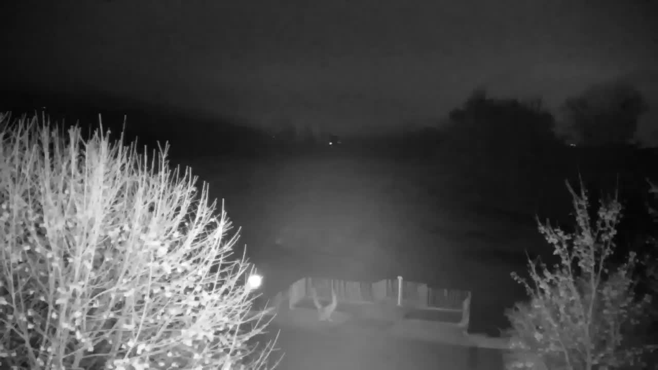 Spletna kamera Ribnik Vrbje – Žalec