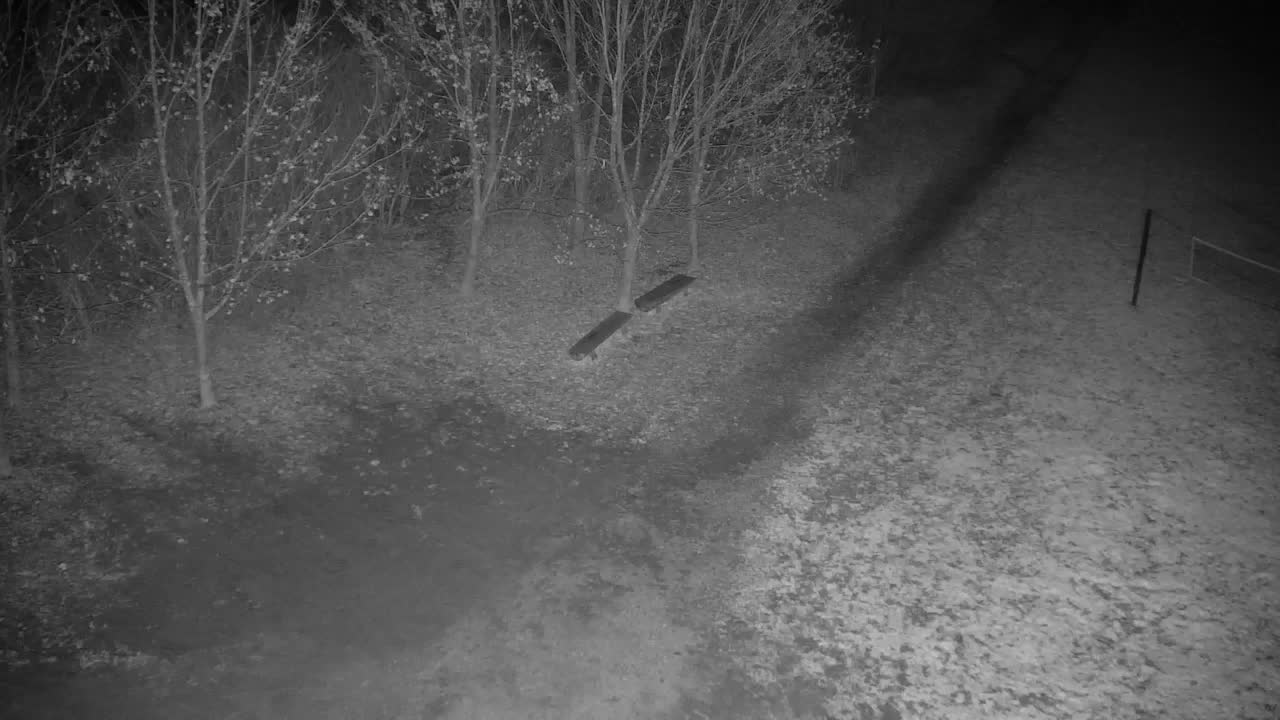 Webcam Ribnik Vrbje – Žalec