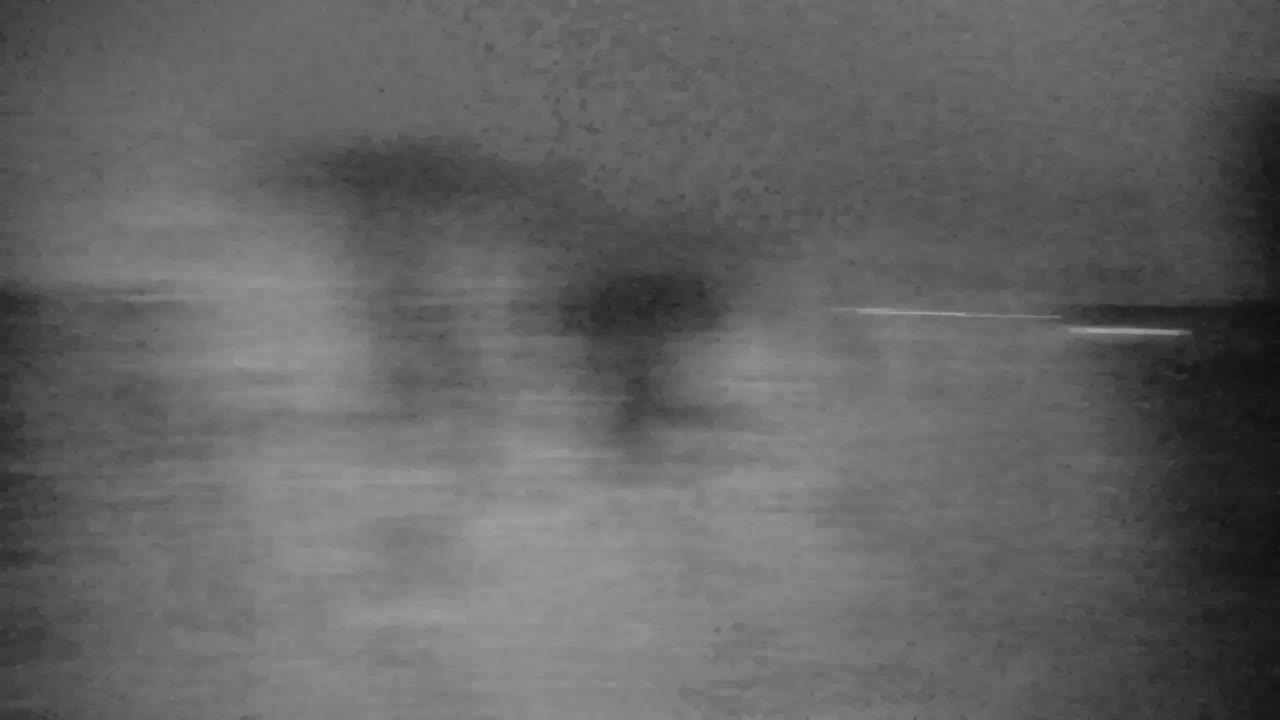 Web kamera Ribnik Vrbje – Žalec