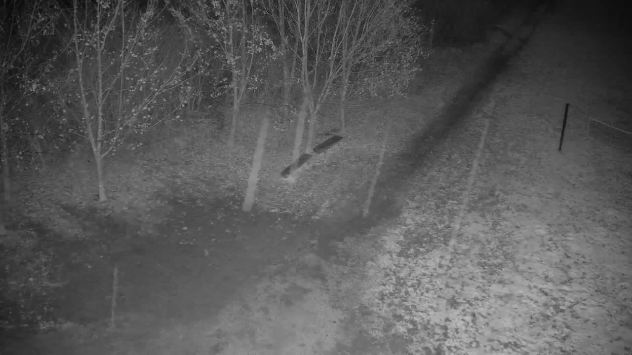 Webcam Ribnik Vrbje – Žalec