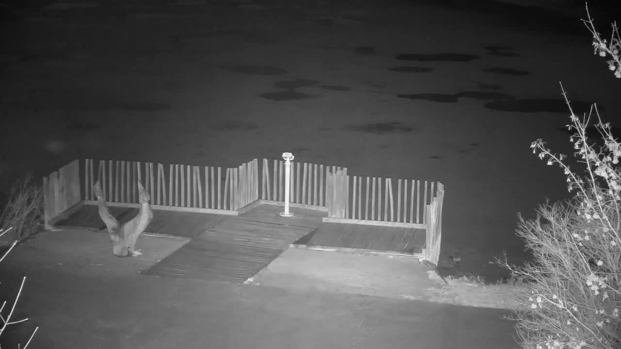 Webcam Ribnik Vrbje – Žalec