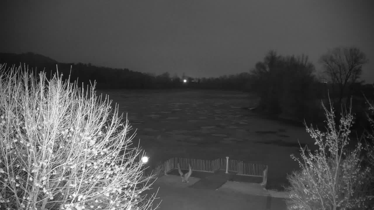 Webcam Ribnik Vrbje – Žalec