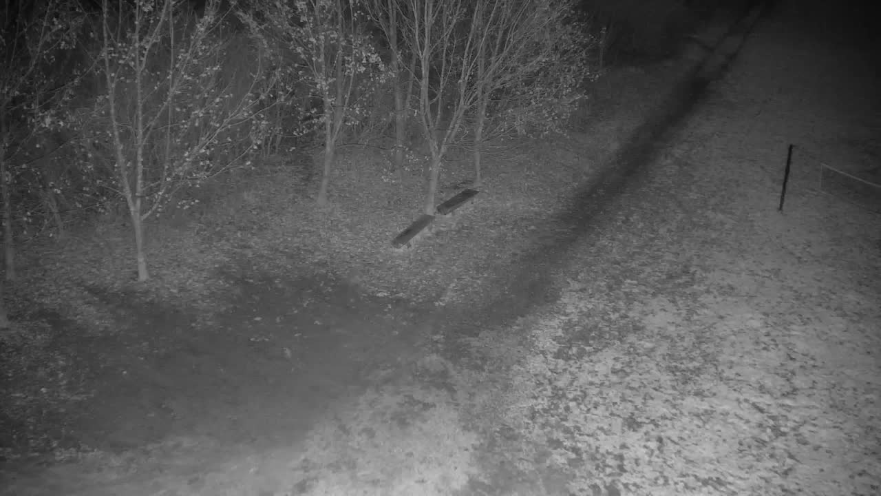 Web kamera Ribnik Vrbje – Žalec