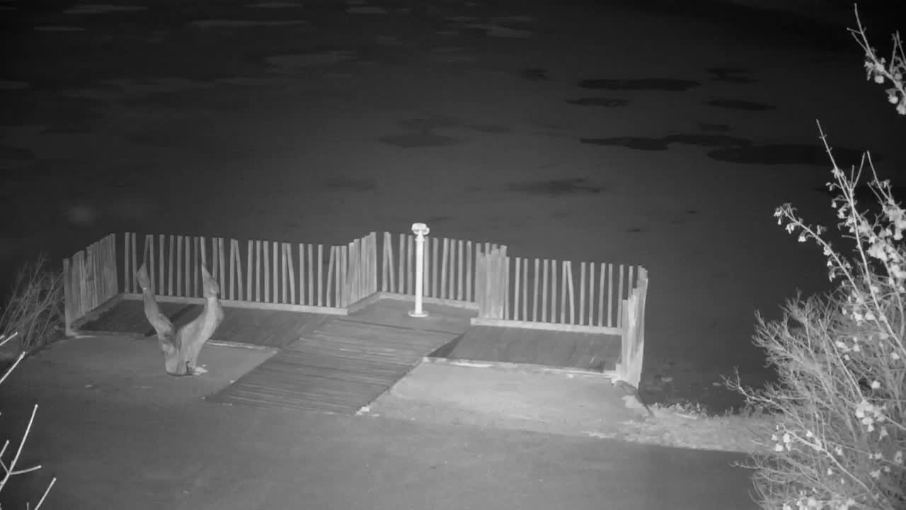 Webcam Ribnik Vrbje – Žalec