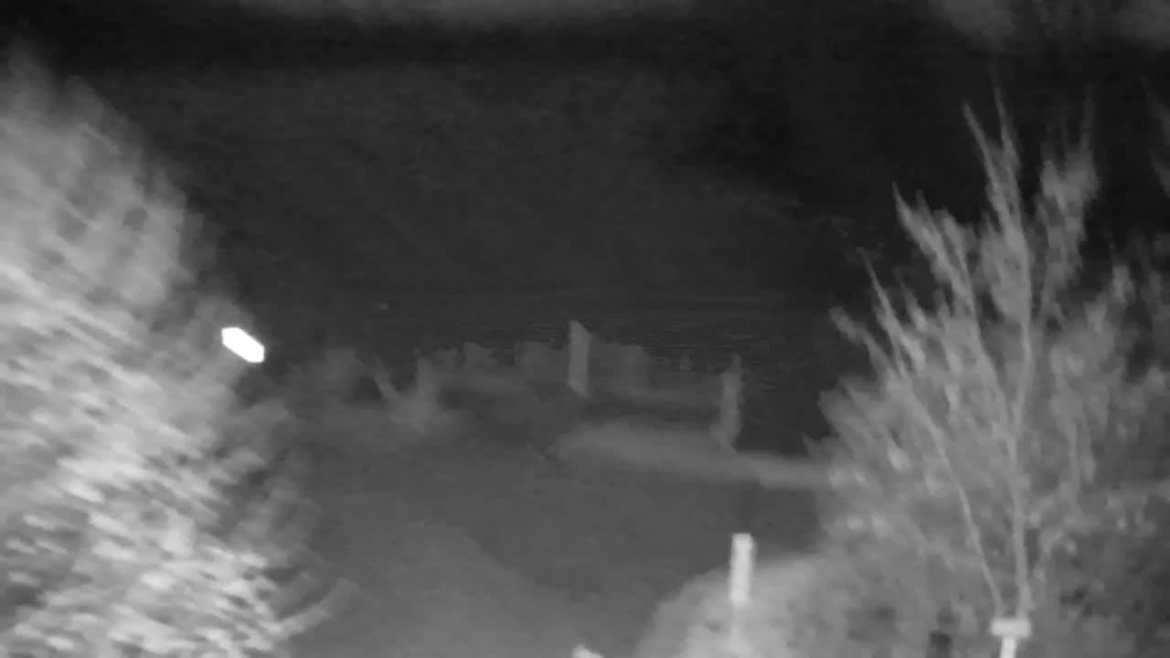 Webcam Ribnik Vrbje – Žalec