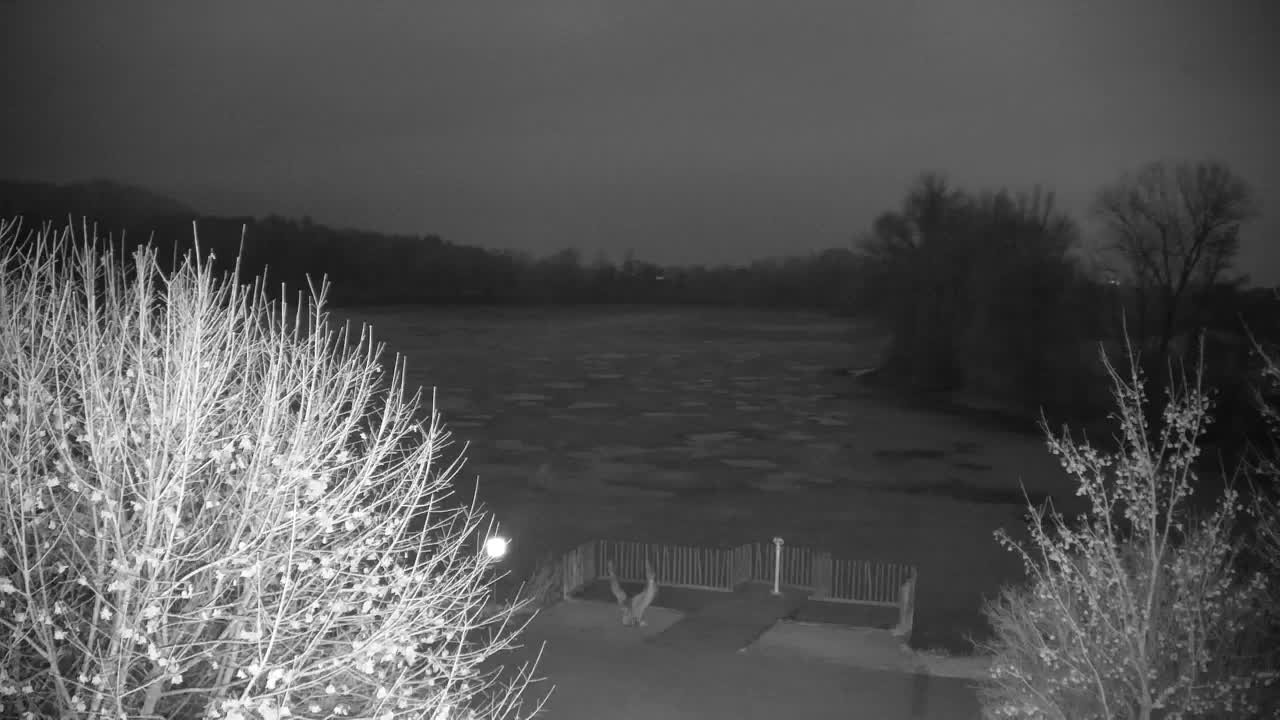 Webcam Ribnik Vrbje – Žalec