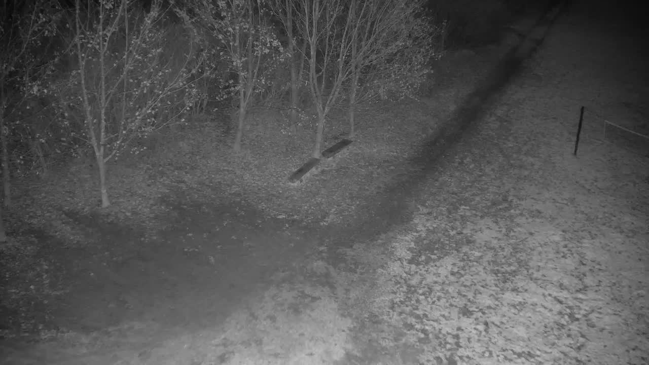 Webcam Ribnik Vrbje – Žalec