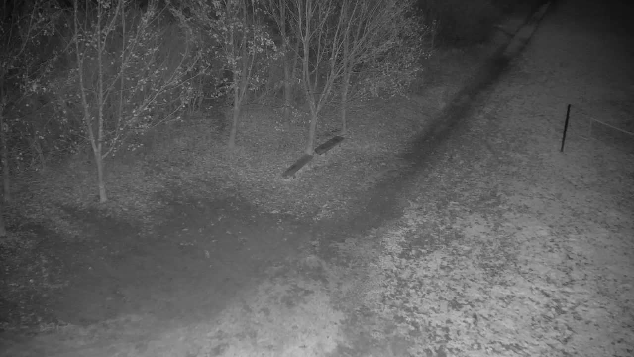 Webcam Ribnik Vrbje – Žalec