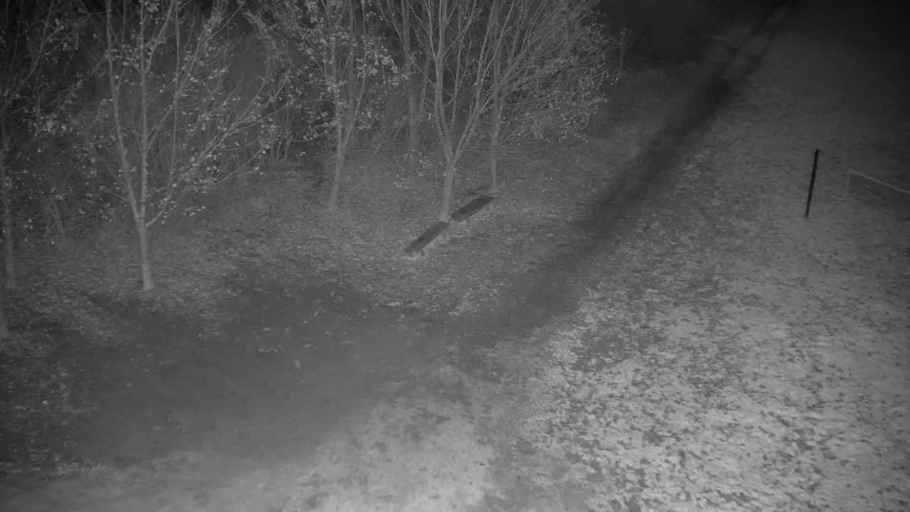 Webcam Ribnik Vrbje – Žalec