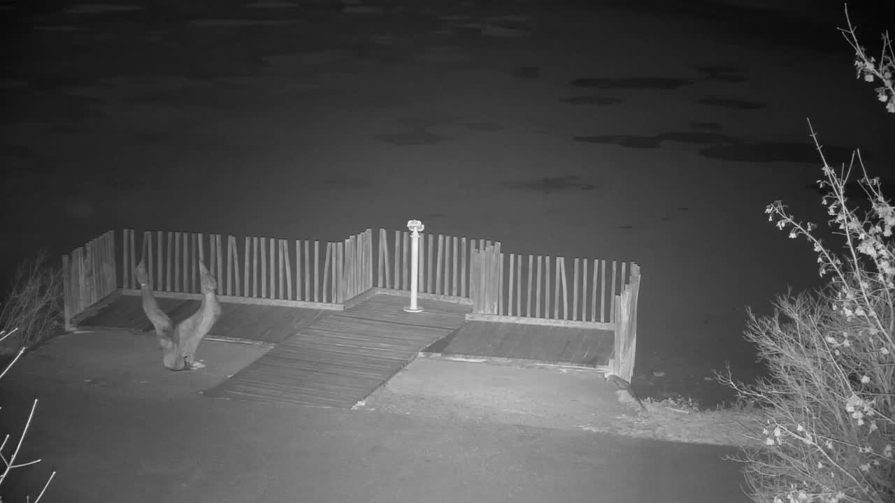 Webcam Ribnik Vrbje – Žalec