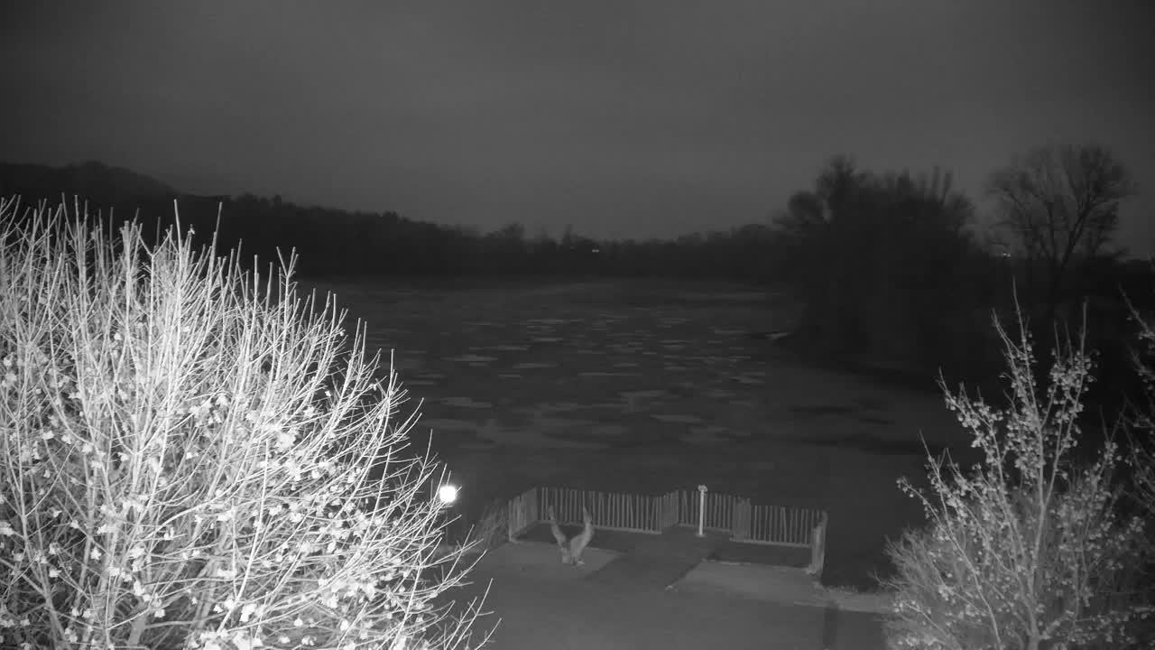 Webcam Ribnik Vrbje – Žalec