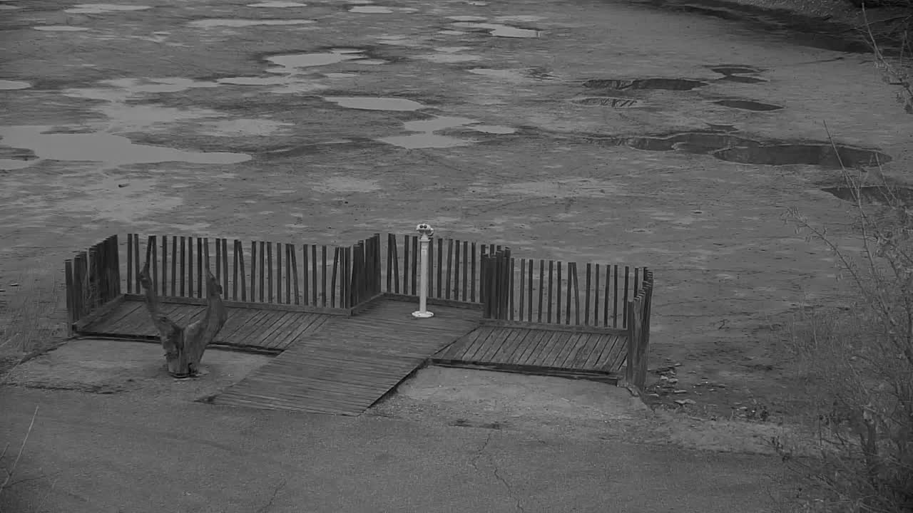 Spletna kamera Ribnik Vrbje – Žalec