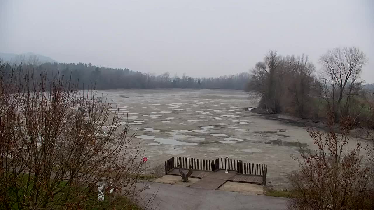 Webcam Ribnik Vrbje – Žalec