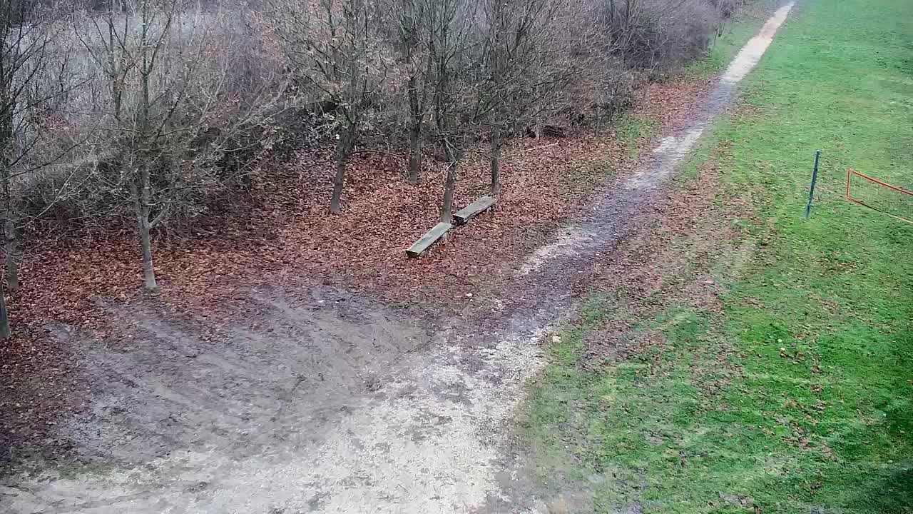 Spletna kamera Ribnik Vrbje – Žalec